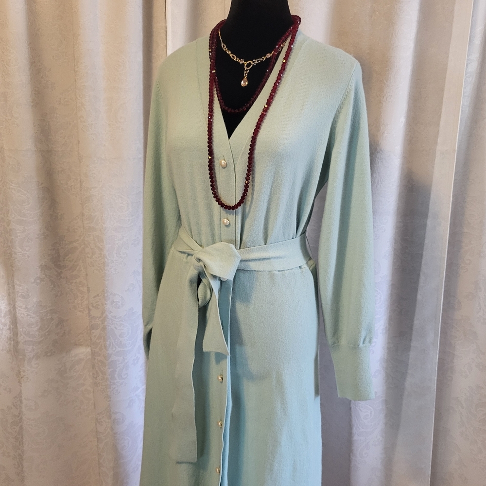 Ann Taylor Womens Pearlized Buttons Belted Sweater Dress, Size LP, Light Green